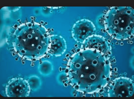 Screen Shot 2025 01 21 at 5.16.37 PM