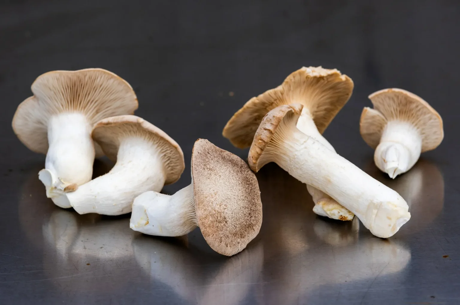 Health benefits of mushrooms