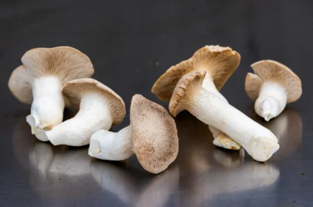 Mushrooms may help regulate your blood sugar, plus 7 other benefits Health benefits of mushrooms