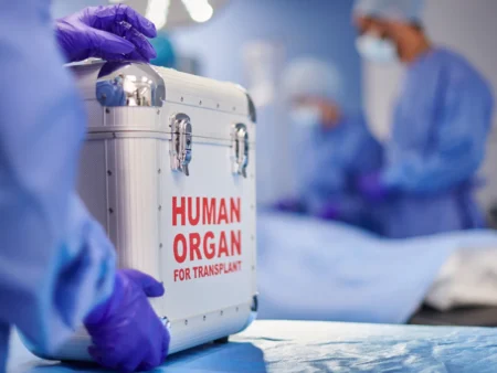 Scientists achieve first human transplant of ‘universal’ kidney using enzyme conversion Scientists achieve first human transplant of ‘universal kidney using enzyme conversion