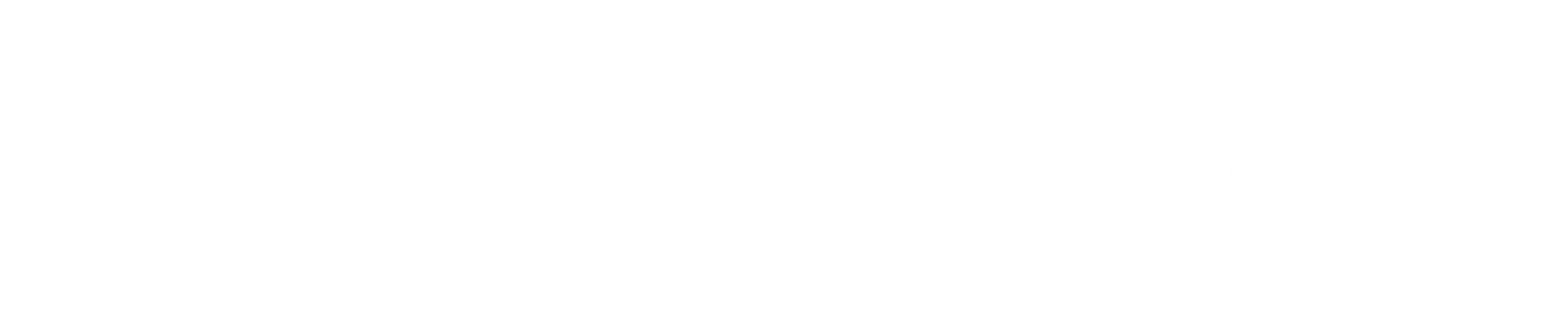 Vivid Voice News