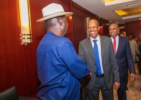 Mahamoud Ali Youssouf beats Raila Odinga to become AU Commission Chair Mahamoud Ali Youssouf beats Raila Odinga to become AU Commission Chair