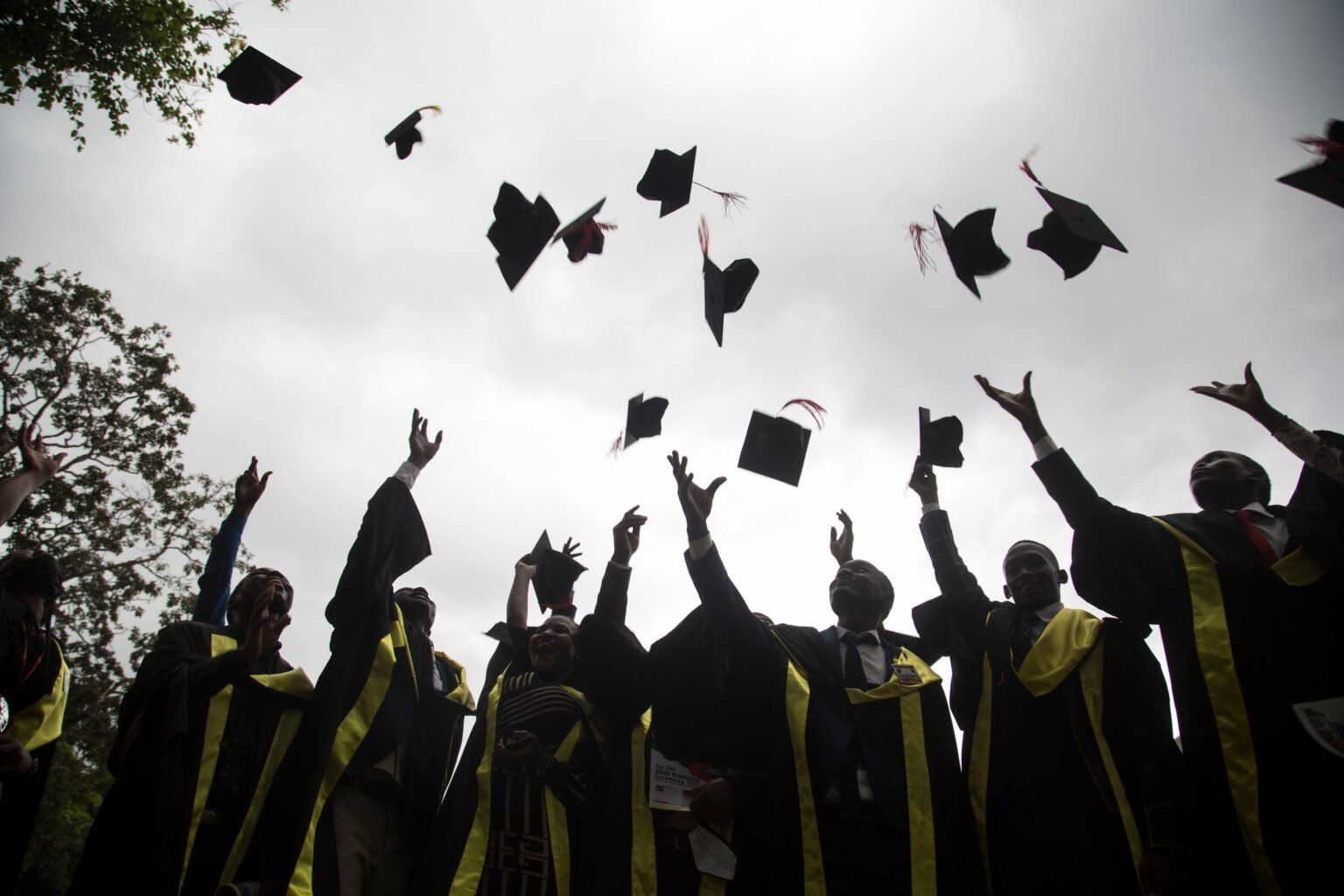 15 Kenyan universities offering fake degrees and diplomas exposed