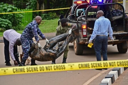 12-year-old boy accidentally kills 10-year-old cousin with a toy spear during play 