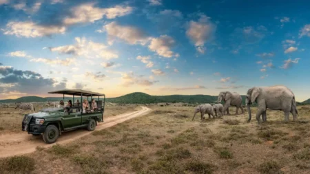 Kenya’s tourism sector records strong growth in 2024 amid strategic reforms