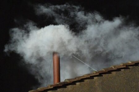 White smoke signals new Pope elected: Cheers erupt in St. Peter's Square