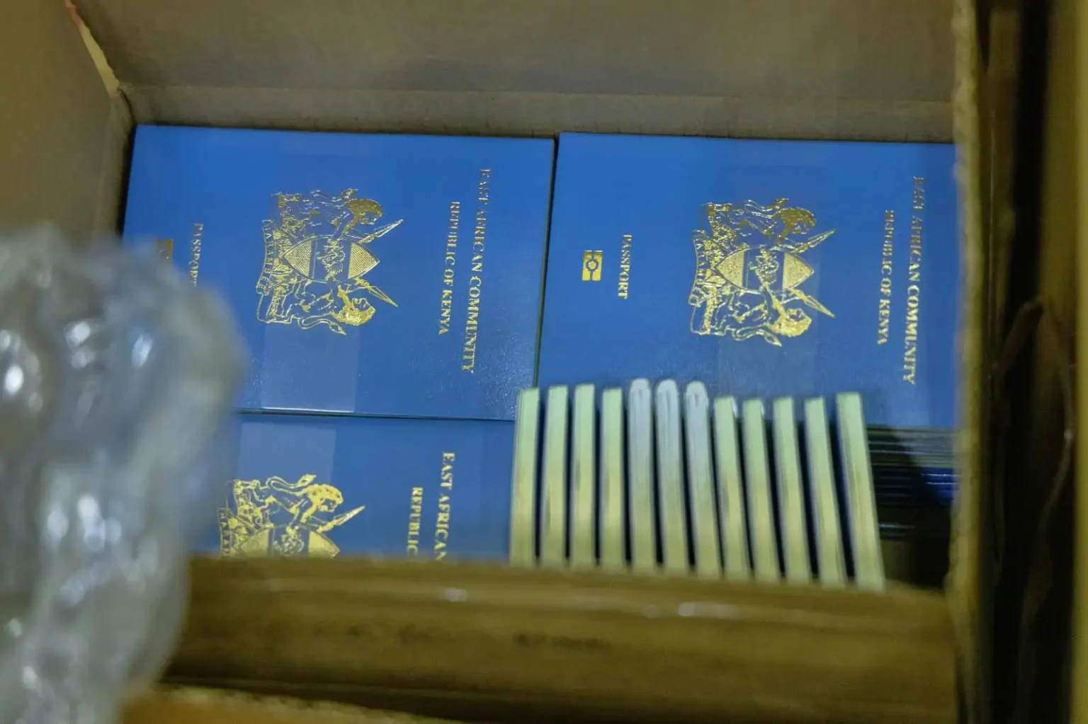Lawyer calls for probe into alleged issuance of Kenyan passports to foreign nationals Kenyan passport slips in global ranking amidst shifting travel freedoms