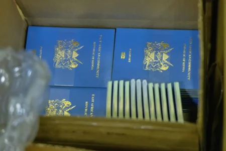 Kenyan passport slips in global ranking amidst shifting travel freedoms