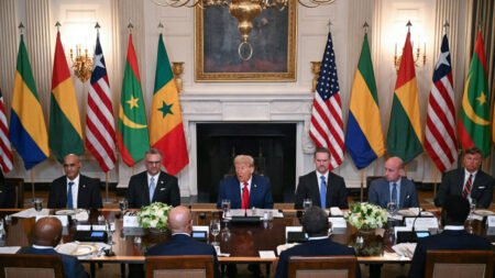 Trump hosts five African leaders in high-stakes summit at the White House