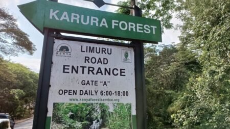 Karura Forest operations disrupted as KFS moves all payments to eCitizen platform Karura Forest operations disrupted as KFS moves all payments to eCitizen platform