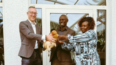 Retiring gardener who chose chickens over Mercedes and BMW