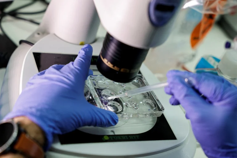 Scientists create human embryos from skin DNA for the first time scaled