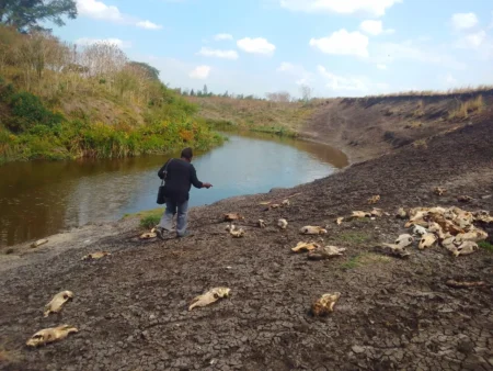 Inside Kamulu’s secret donkey slaughterhouse: Fear, cartels, and alleged police protection