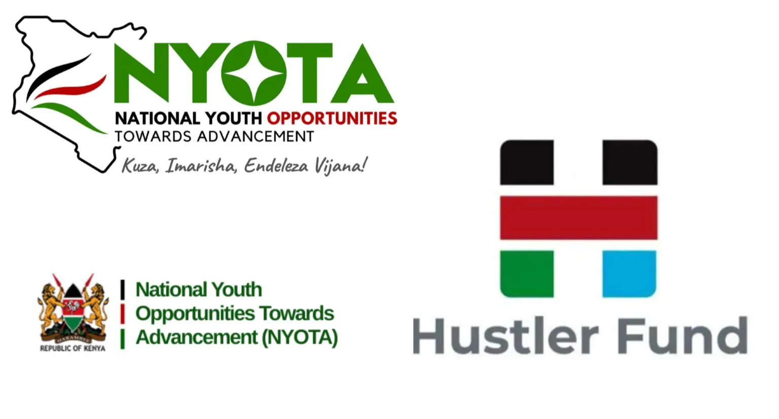 Over 9 million Hustler Fund defaulters barred from new NYOTA youth grants Over 9 million Hustler Fund defaulters barred from new NYOTA youth grants