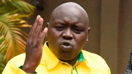 Senator Cherargei tells Museveni and Suluhu: ‘Crush’ Kenyan activists interfering abroad Samson-Cherargei