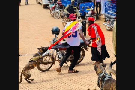 Uganda Law Society condemns police use of dogs at NUP rally Uganda Police canine unit deployed at NUP rally in Kawempe