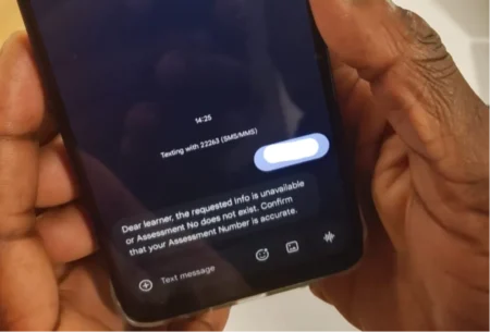 Grade 10 placement results delayed as portal and SMS system crash