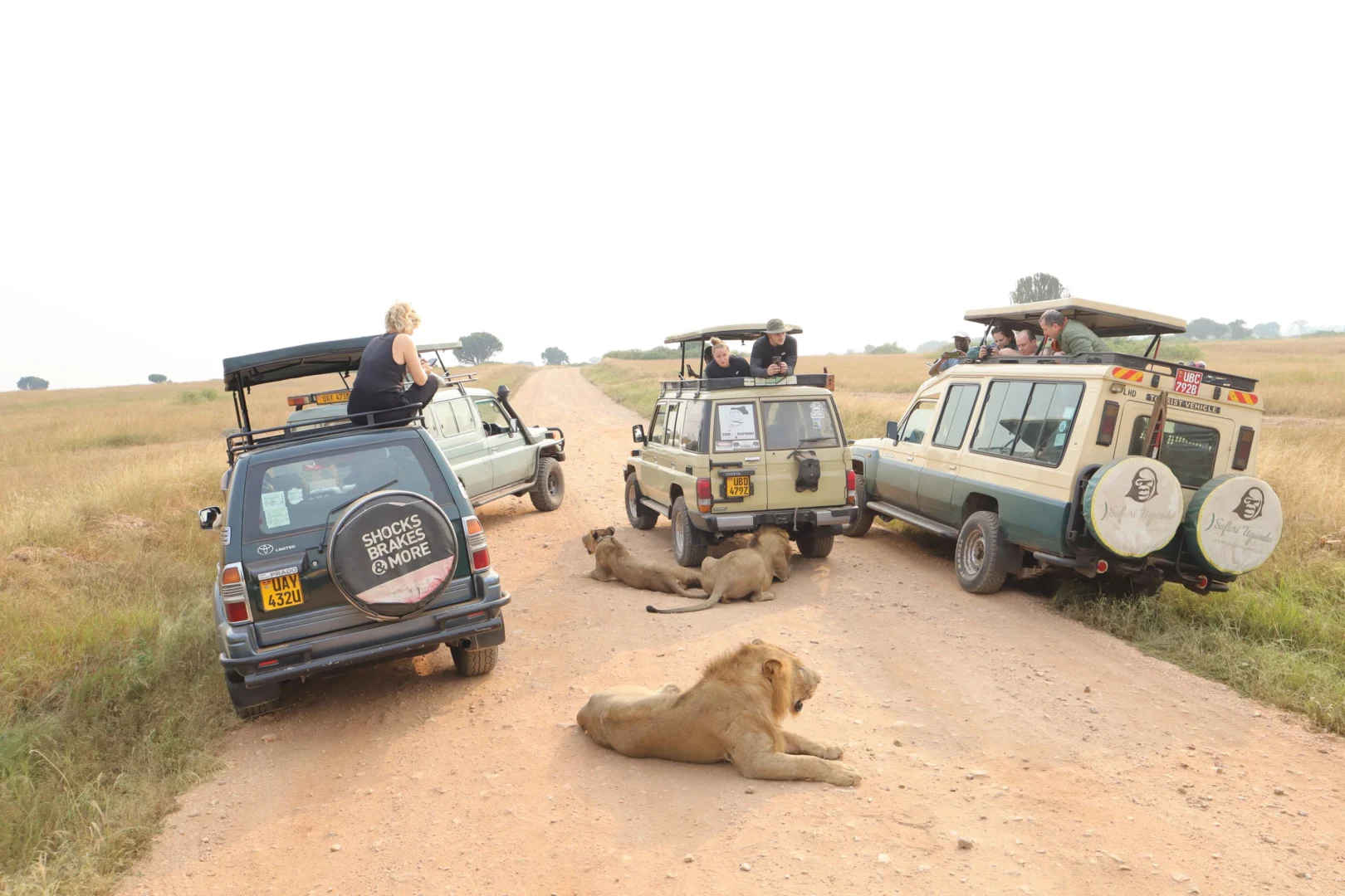 UK lifts travel advisory for Uganda’s Queen Elizabeth and Semuliki National Parks UK lifts travel advisory for Ugandas Queen Elizabeth and Semuliki National Parks scaled