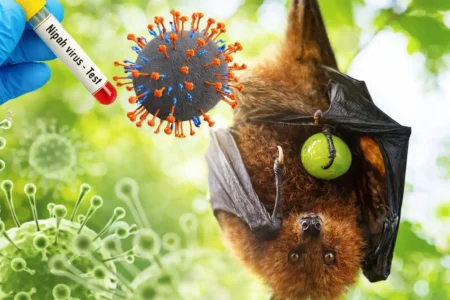 Nipah virus pandemic threat