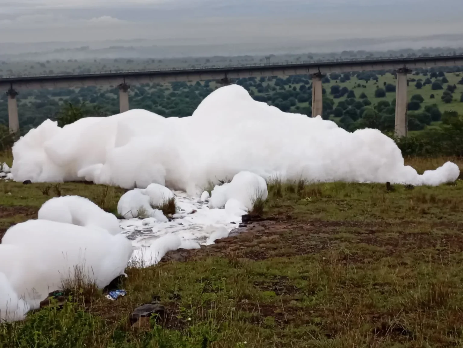 KWS probes suspected chemical spill flowing into Nairobi National Park ecosystem