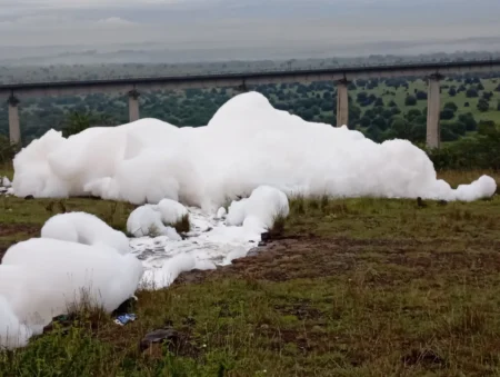 KWS probes suspected chemical spill flowing into Nairobi National Park ecosystem