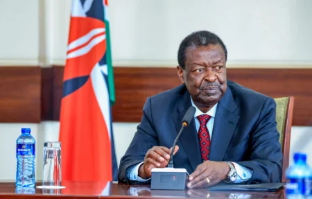 Mudavadi says 252 Kenyans recruited into Russian military, 47 rescued