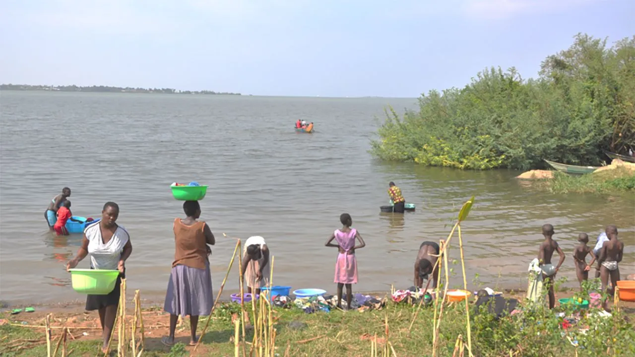 Bilharzia outbreak confirmed on Lake Victoria islands in Jinja Bilharzia outbreak confirmed on Lake Victoria islands in Jinja