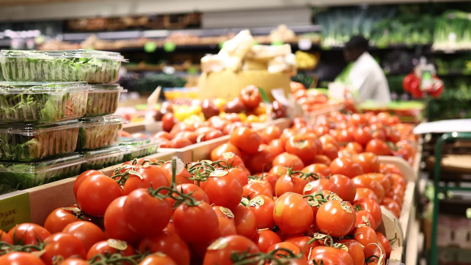 Tomato prices soar in US as tariffs, inflation drive food costs higher Tomato prices in the United States