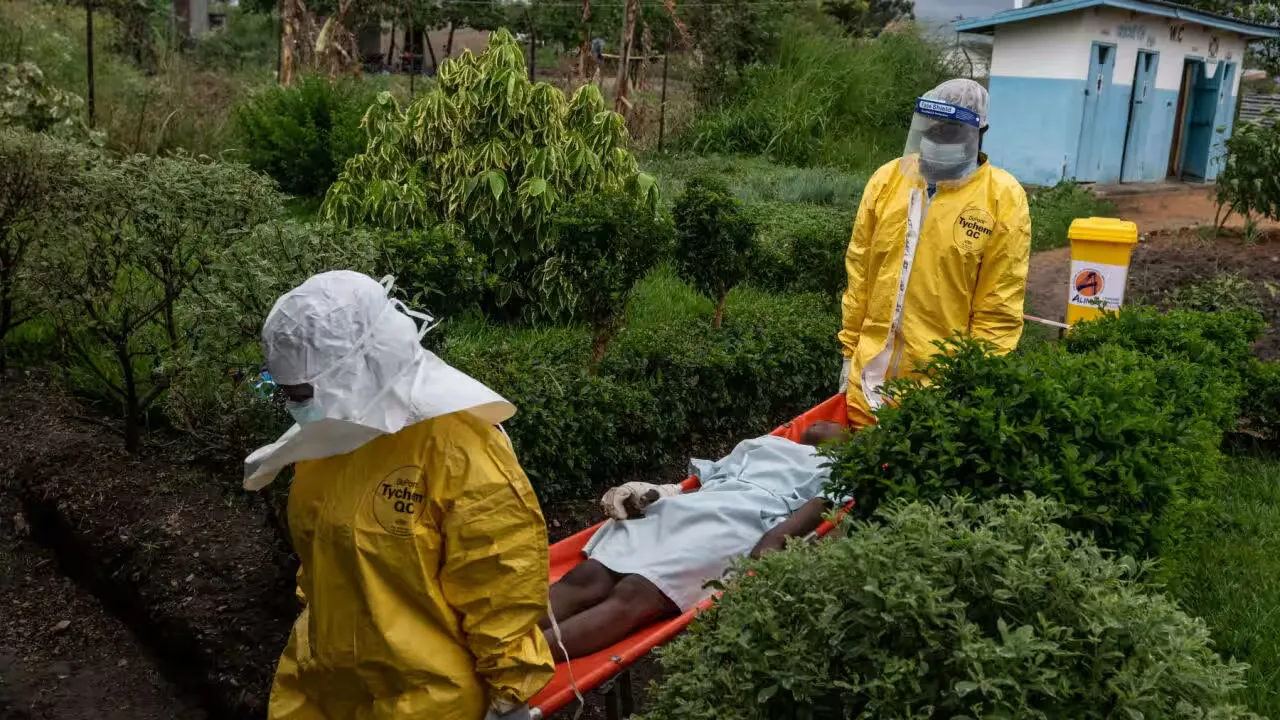 UK scientists develop Ebola vaccine as deadly Bundibugyo strain spreads UK scientists develop Ebola vaccine as deadly Bundibugyo strain spreads