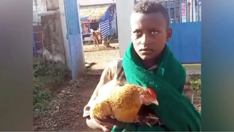 Ethiopian boy, 12, takes sick chicken to human hospital in viral video Ethiopian boy, 12, takes sick chicken to human hospital in viral video