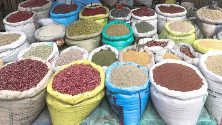 KALRO, KEBS warns of high aflatoxin levels in Kenyan cereals
