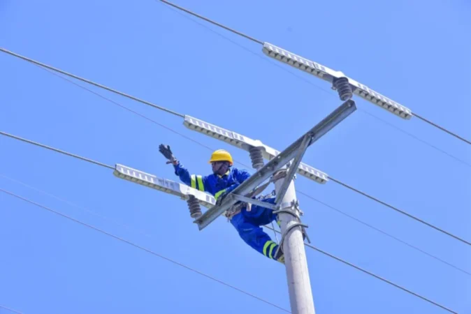Kenya Power steps in to protect birds from power line electrocution Kenya Power steps in to protect birds from power line electrocution