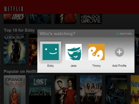 Netflix introduces unique email login for adult profiles on shared accounts