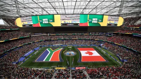 How Bafana Bafana’s World Cup exit united Africa online