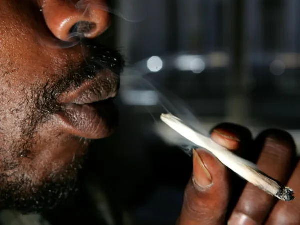 Kenyan High Court rejects Rastafarians’ bid to legalise cannabis Kenyan High Court rejects Rastafarians' bid to legalise cannabis