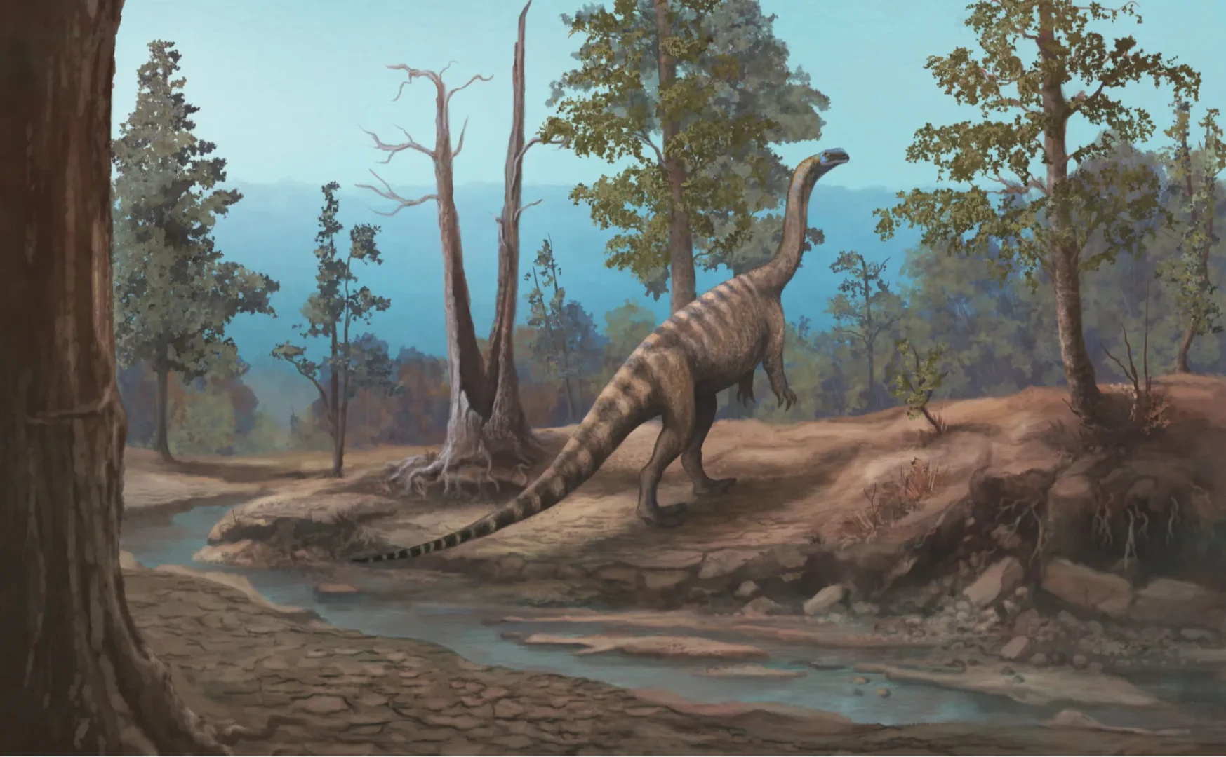 New dinosaur species discovered in Zimbabwe New dinosaur species discovered in Zimbabwe