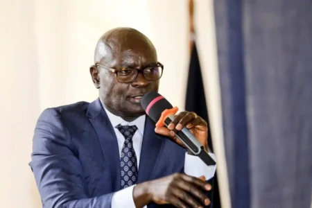 Uganda orders fresh polling in 1,135 villages after LC1 election violence