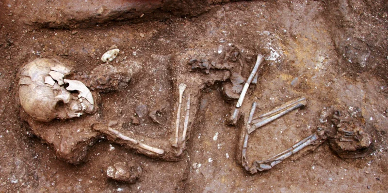 9,000-year-old pregnant woman and foetus discovered in Swedish cave 9,000-year-old pregnant woman and foetus discovered in Swedish cave