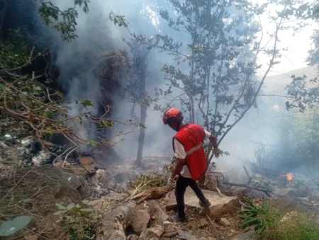 Seven killed as tourist helicopter crashes near Mt Ololokwe in Samburu Seven killed as tourist helicopter crashes near Mt Ololokwe in Samburu