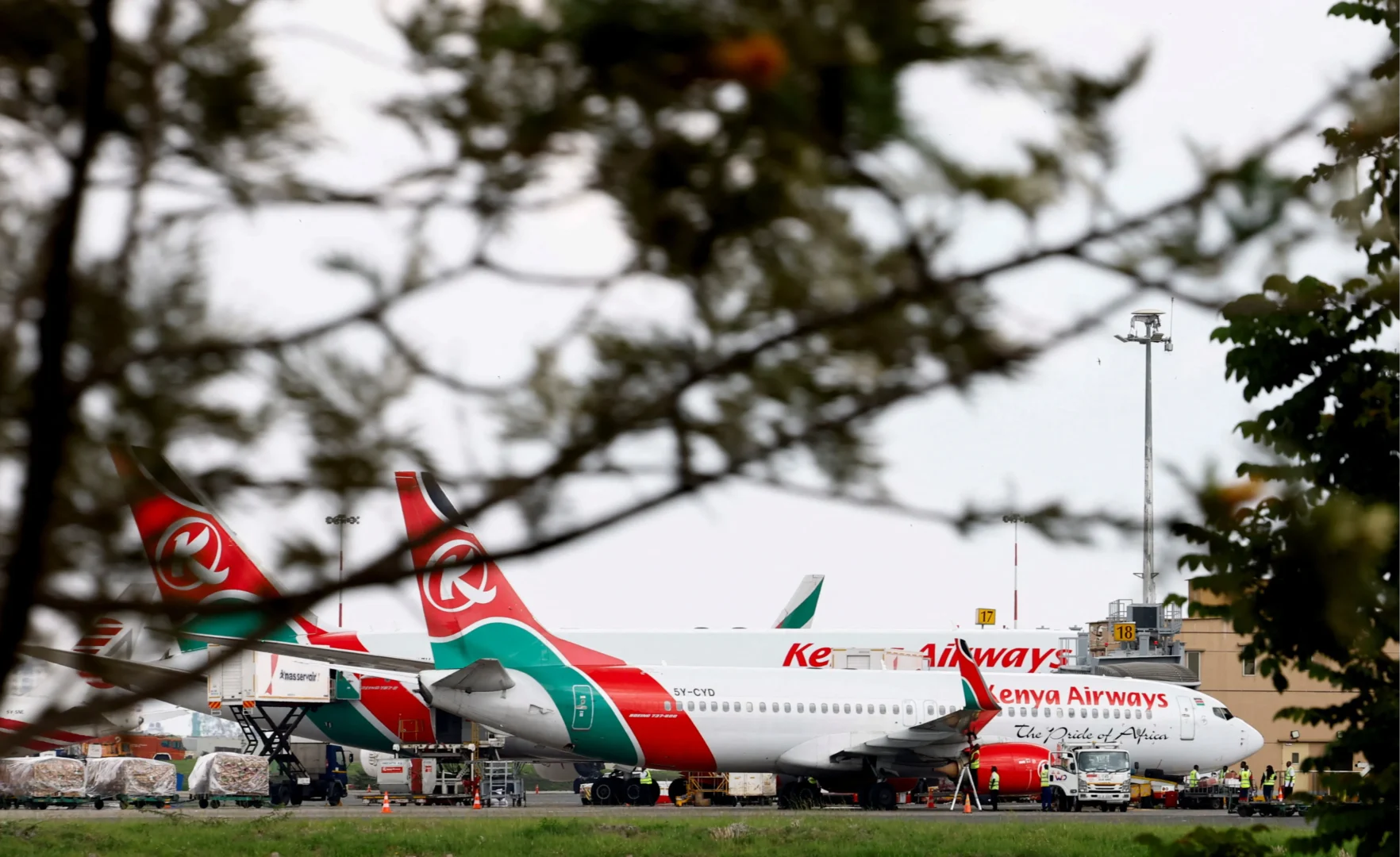 Saudi Arabia suspends travel to Kenya, halts visas over ebola outbreak Saudi Arabia suspends travel to Kenya, halts visas over ebola outbreak